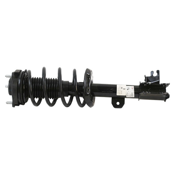 Front Shock Absorber Strut Assembly OE 23740716 for Changan baojun PLUS Feature